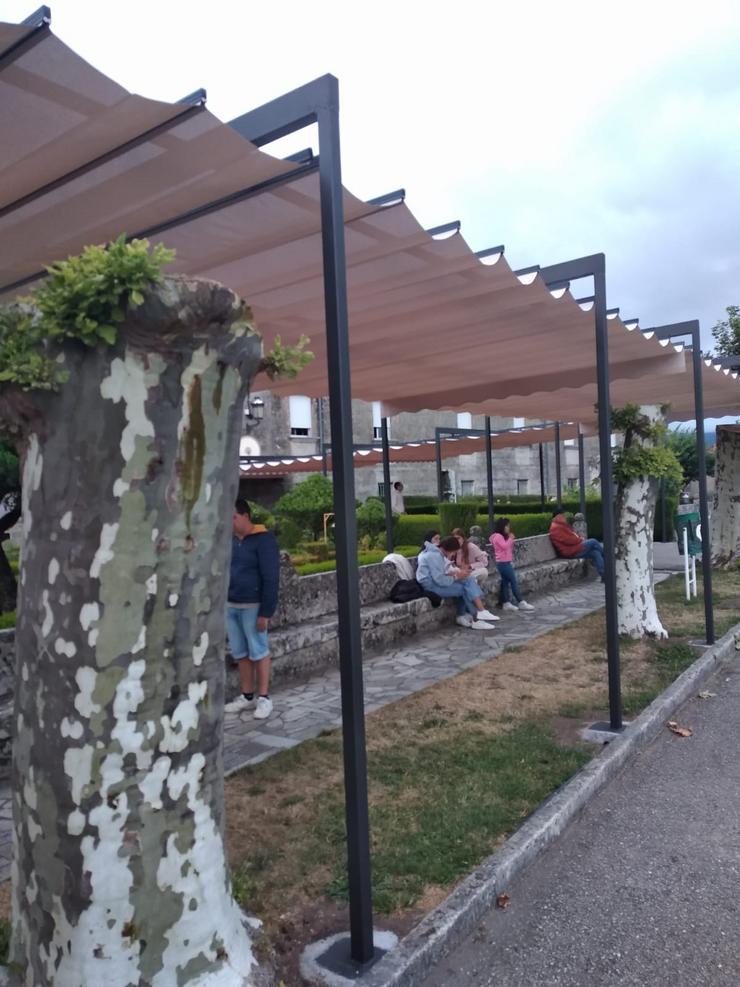 Arboricidio no Camiño de Santiago, no camiño mozárabe en Xunqueira de Ambia 
