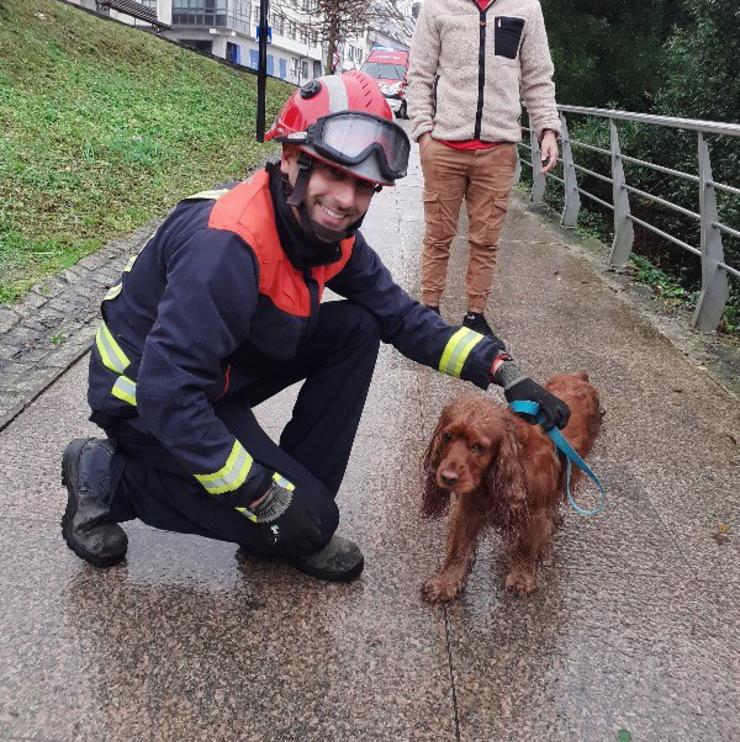 O can rescatado en Ou Amorne polo Servizo Municipal de Emerxencias de Cambre. SERVIZO MUNICIPAL DE EMERXENCIAS DE CAMBRE / Europa Press
