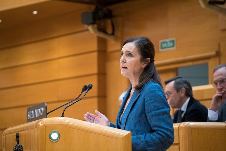A senadora do PP Pilar Rojo intervén durante unha sesión plenaria no Senado / Diego Radamés - Europa Press