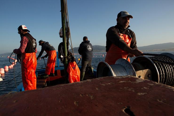 Pescadores abordo dun barco pesqueiro 