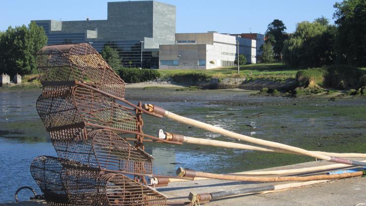 Utensilios de extracción de ameixa na ría de Ferrol 