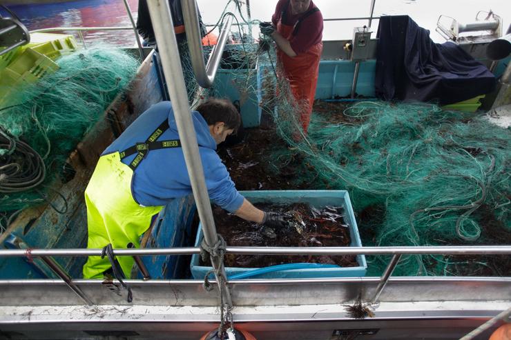 Pescadores descargan o peixe e o marisco capturado no Porto de Burela, a 21 de decembro de 2022 