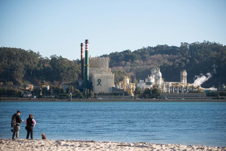 O complexo industrial de Ence na Ría de Pontevedra 