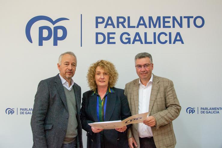 A deputada no Parlamento de Galicia Felisa Rodríguez reuniuse este mércores cos deputados do PP no Congreso Javier Bas e Xoán Constenla.. PPDEG / Europa Press