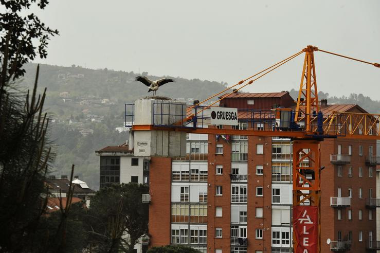 Dúas cegoñas, coñecidas como "Luisa" e "Carlos", nun niño instalado nun guindastre no barrio das Barrocás, en Ourense, Galicia / Rosa Veiga - Europa Press / Europa Press