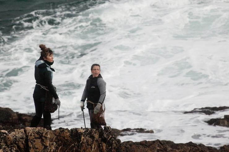 As percebeiras de Rinlo, da Confraría de Pescadores de Ribadeo, recollen percebes para a campaña do Nadal 