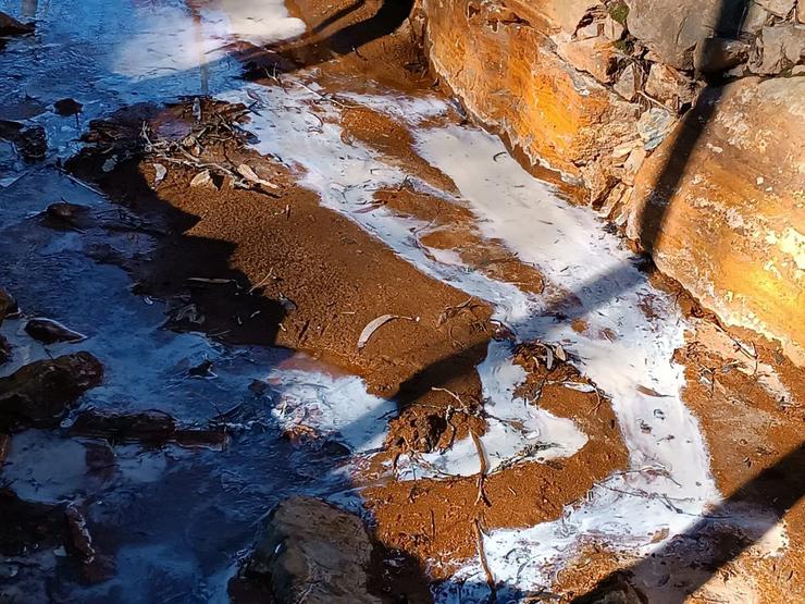 Contaminación do río Portopego en Touro / Ecoloxistas en Acción