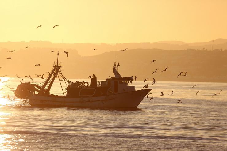 Arquivo - Barco pesqueiro. XUNTA DE ANDALUCÍA - Arquivo / Europa Press