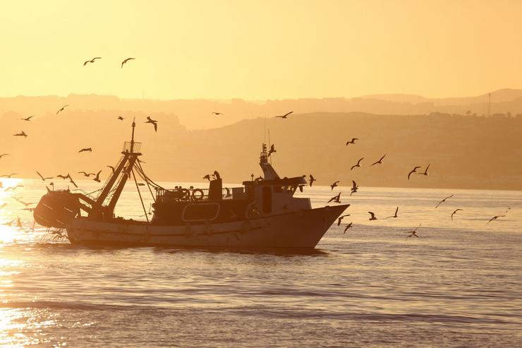 Barco pesqueiro 