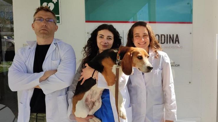 Os investigadores do Campus Terra da USC Ángela González Martínez, Susana Muñíz de Miguel e o profesor da área de Produción Animal Francisco, Javier Diéguez / Europa Press