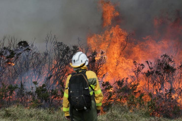 Un efectivo da Xunta con base en Becerreá traballan para extinguir as chamas nun incendio forestal, a 29 de marzo de 2023, en Baleira / Europa Press