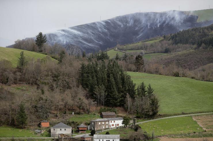 Vexetación afectada con motivo do incendio forestal, a 29 de marzo de 2023, en Baleira, Lugo, Galicia (España). Carlos Castro - Europa Press