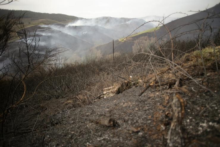 Monte arrasado polas chamas no Padornelo / Europa Press 