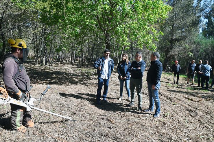 Tarefas de roza nun polígono agroforestal en Ourense