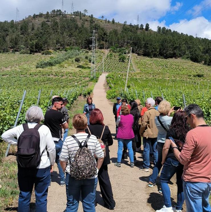 Participantes nas xornadas 'Primavera de portas abertas'. Foto: Cedida pola Ruta do Viño de Valdeorras.