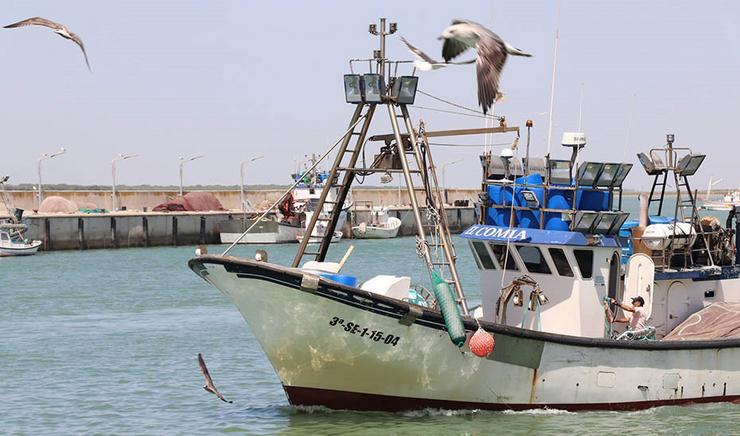 Pesca marítima/EP