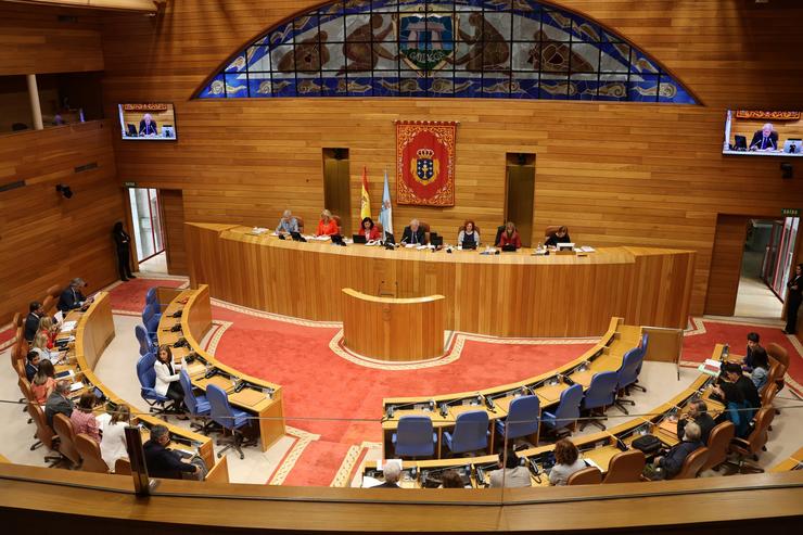 Pleno do Parlamento galego 