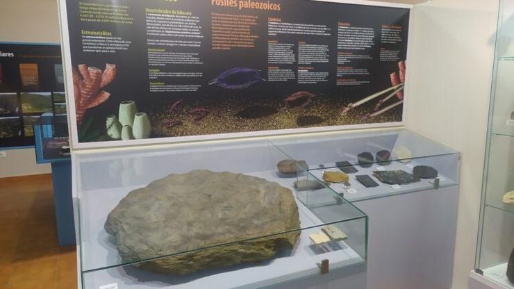 A pedra con rastros fósiles de trilobites da era Paleozoica achada exposta xa no Museo Xeolóxico de Quiroga / Foto: RTMQ