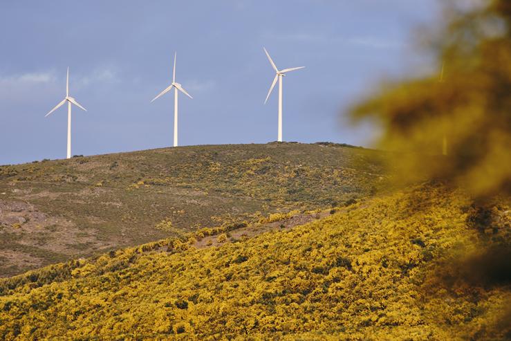 Aeroxeradores no parque eólico de Serra do Larouco, a 31 de maio de 2023, en Esgos, Ourense, Galicia (España). O mercado transaccional no sector das enerxías renovables en España rexistrou no catro primeiros meses do ano un total de 5. Agostime - Europa Press 