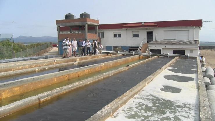 A empresa A Ostreira, no Grove, que comercializa semente de moluscos / Canal Rías Baixas - Arquivo