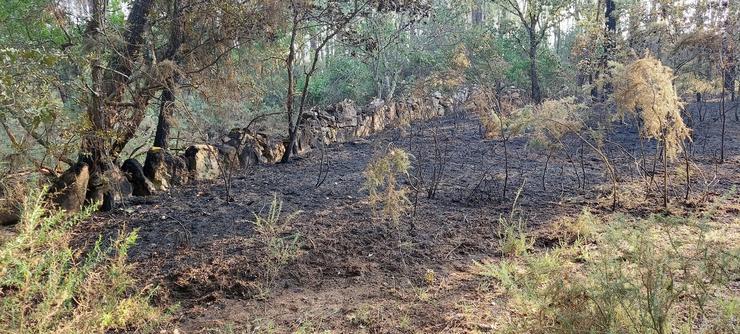 Incendio provocado en Seixalbo, Ourense. 