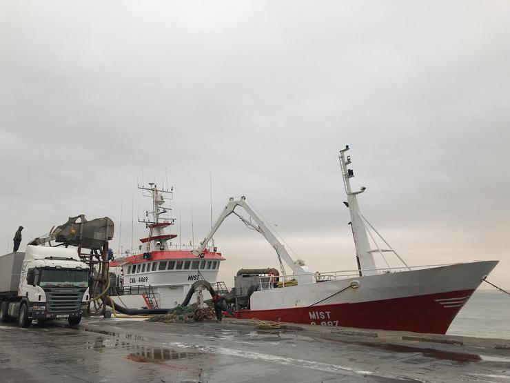 Barco pesqueiro 