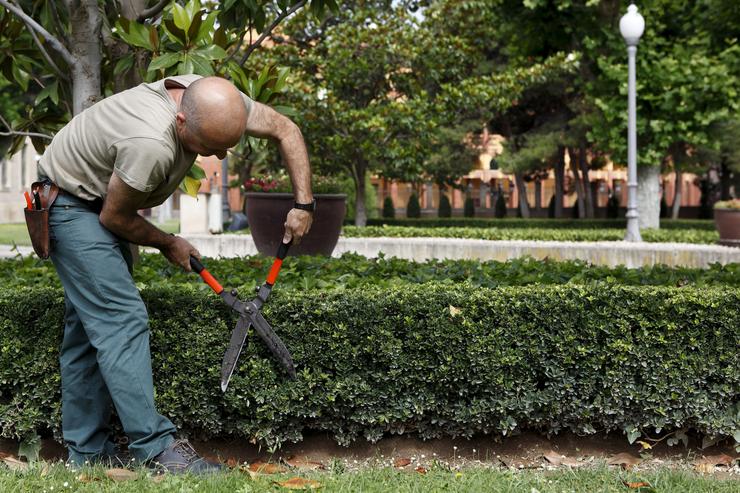 O servizo de xardinaría reserva para centros especiais de emprego e empresas de inserción / DGA - Arquivo