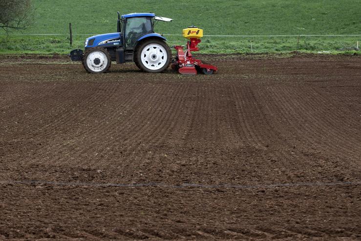 Tractor / ANA VARELA - Arquivo