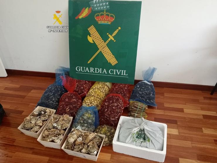 Incautados 49 quilos de diversas especies de marisco en Teo (A Coruña). GARDA CIVIL / Europa Press