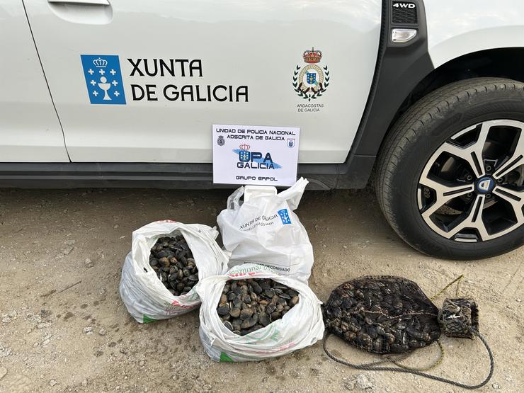 Incautados 30 quilos de ameixa e denunciadas catro persoas nun operativo da Policía Autonómica contra o furtivismo en Ferrol.. XUNTA 