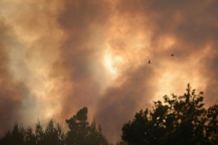 Fume provocado por un incendio forestal na parroquia de Belesar,  