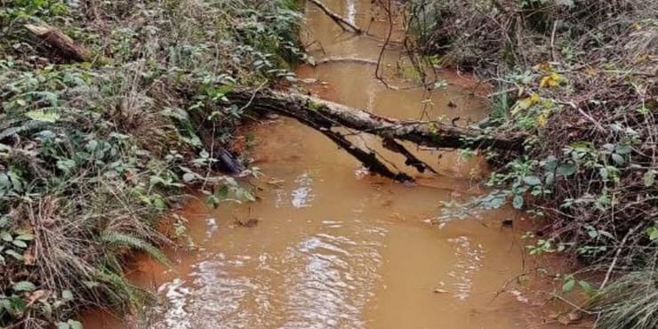 Río Pucheiras despois de pasar pola balsa mineira do Vieiro, coa auga tinguida de cor marrón ou branco dependendo do día / Plataforma de afectados