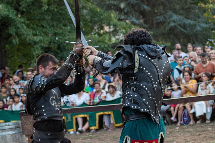 Un momento da Festa da Istoria de 2022. Foto: Fundación Festa da Istoria.