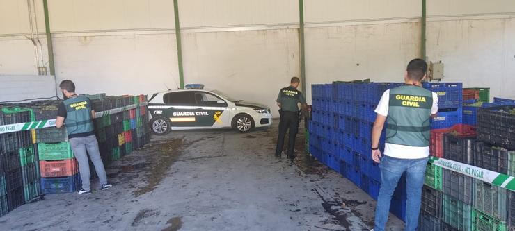 Rural.- Interveñen 19.600 quilos de uva foránea procedente de Medina del Campo con destino á DO Valdeorras. GARDA CIVIL DE OURENSE / Europa Press