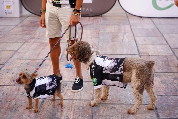 Varias persoas pasean as súas mascotas polas rúas da capital, onde o vindeiro venres entrerá en vigor A Lei de Protección e Benestar Animal en España, que é máis restritiva que a anterior. Establece sancións para quen non notifiquen en 6 mese. Álex Zea - Europa Press / Europa Press