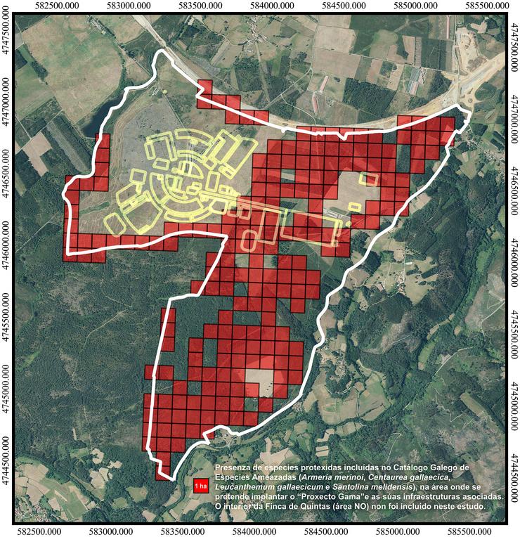 Presenza de especies protexidas no lugar onde se pretende construír o complexo de Altri -Greenfiber en Palas de Rei / ADEGA