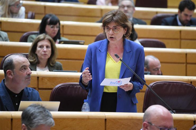 Arquivo - A senadora do BNG, María Carmen Dá Silva Méndez, durante unha sesión de control ao Goberno, no Senado, a 11 de xuño de 2024, en Madrid (España). Trátase da primeira sesión de control ao Goberno tras celebrarse as eleccións europeas d. Fernando Sánchez - Europa Press - Arquivo / Europa Press