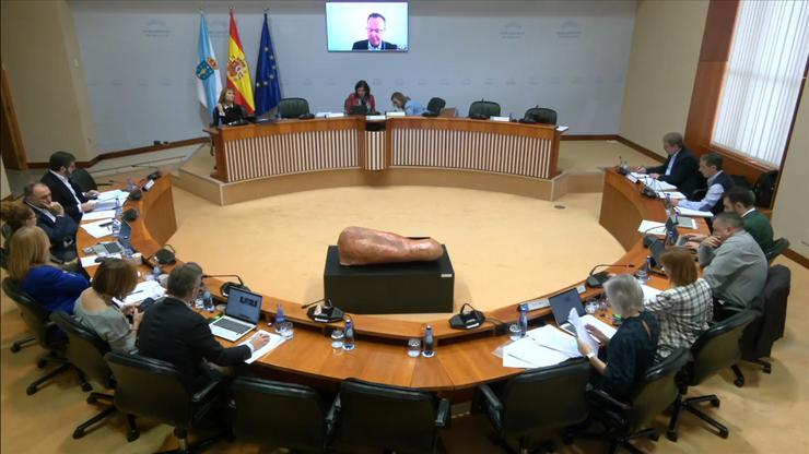 Comparecencia na comisión de investigación dos contratos da Xunta do director do proxecto do Hospital Álvaro Cunqueiro de Vigo, Santiago Pérez / PARLAMENTO DE GALICIA