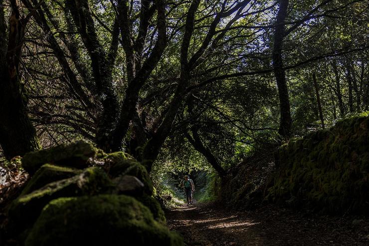 Foto gañadora do VII Concurso de Fotografías das Reservas da Biosfera da Deputación de Lugo / DEPUTACIÓN DE LUGO 