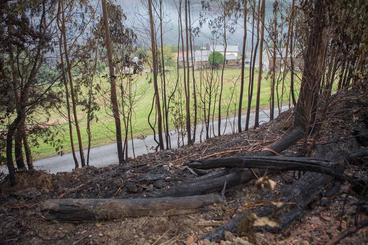 Zona de bosque queimado tras o incendio, a 16 de outubro de 2023, en Trabada / Carlos Castro - Arquivo