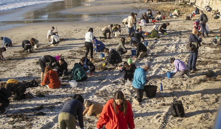 Varios voluntarios recollen pellets na praia de Panxón 