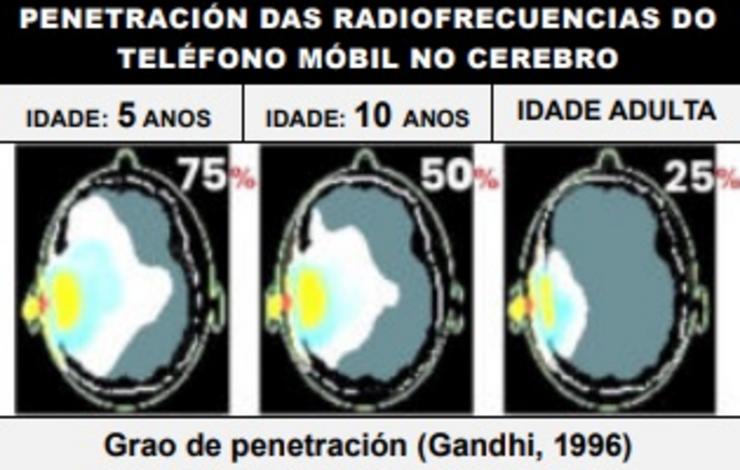 Como afectan os móbiles ao cerebro dos nenos 