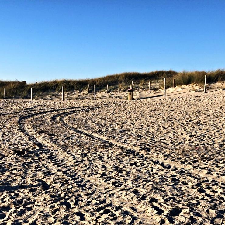 Pisadas de tractor na praia de Samil, en Vigo 