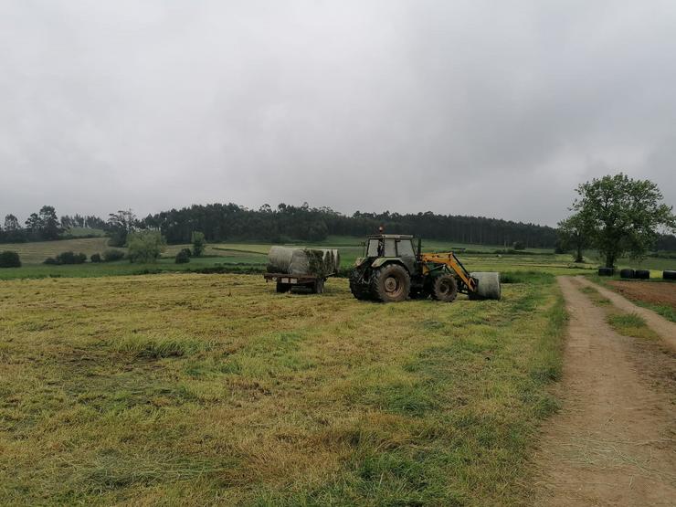 Traballos no campo 