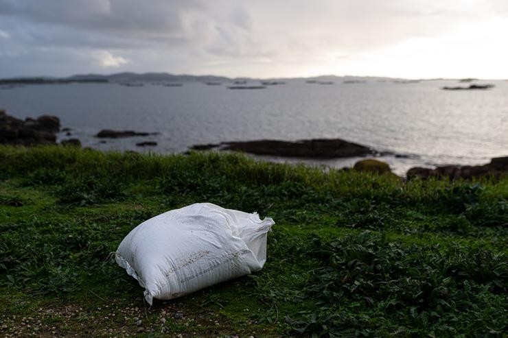 Un axente da Policía Local e unha gardacostas fan unha recollida de pellets de plástico da area, na Illa de Arousa 