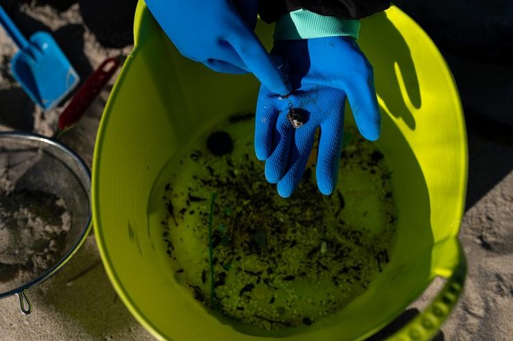 Voluntarios fan unha recollida de pellets da area. Elena Fernández - Europa Press 