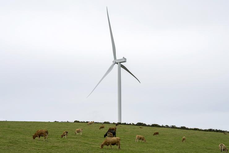 Imaxe dun parque eólico.. NORVENTO ENERXÍA - Arquivo 