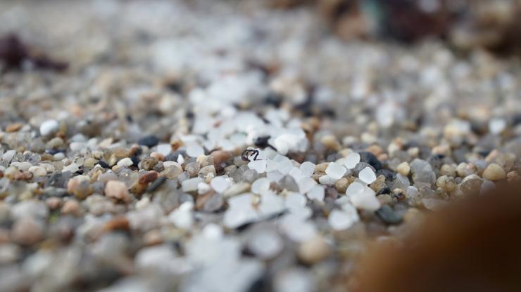 Pellets de plástico na praia de Sabón / Gustavo de la Paz - Arquivo