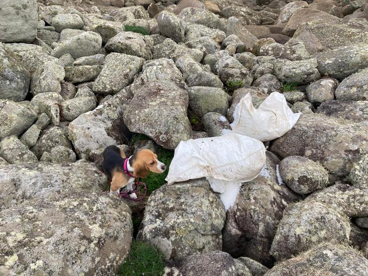 Sacos entre rochas en Corrubedo Foto de Antonio Ferreirós