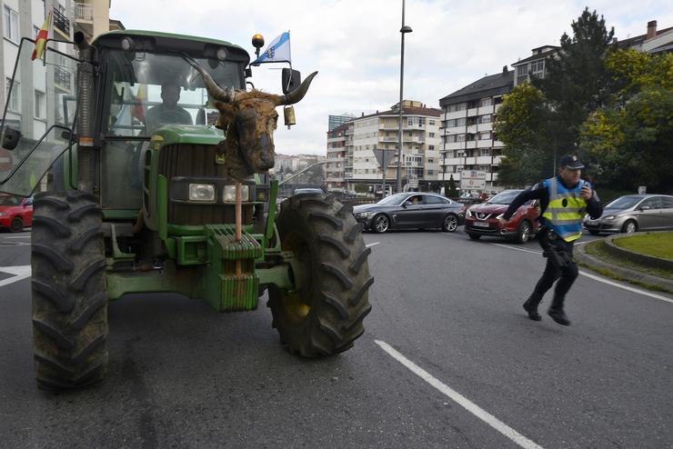 Un tractor de agricultor chega a Ourense durante unha manifestación na segunda xornada de protestas, a 7 de febreiro de 2024 en Ourense, Galicia (España). Agricultores e gandeiros de toda España sacaron os seus tractores ás estradas por segunda jorna. Rosa Veiga - Europa Press / Europa Press